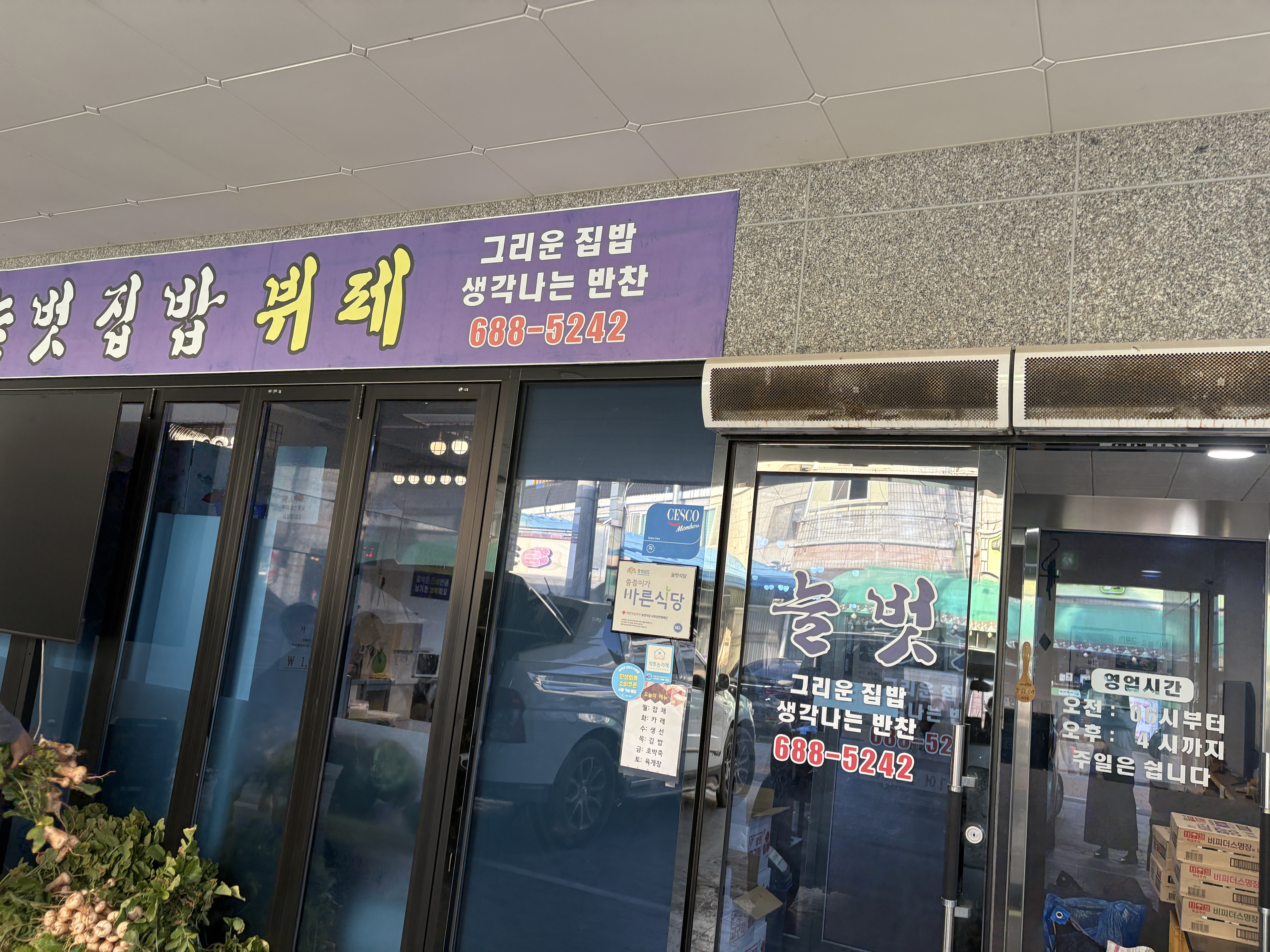 늘벗