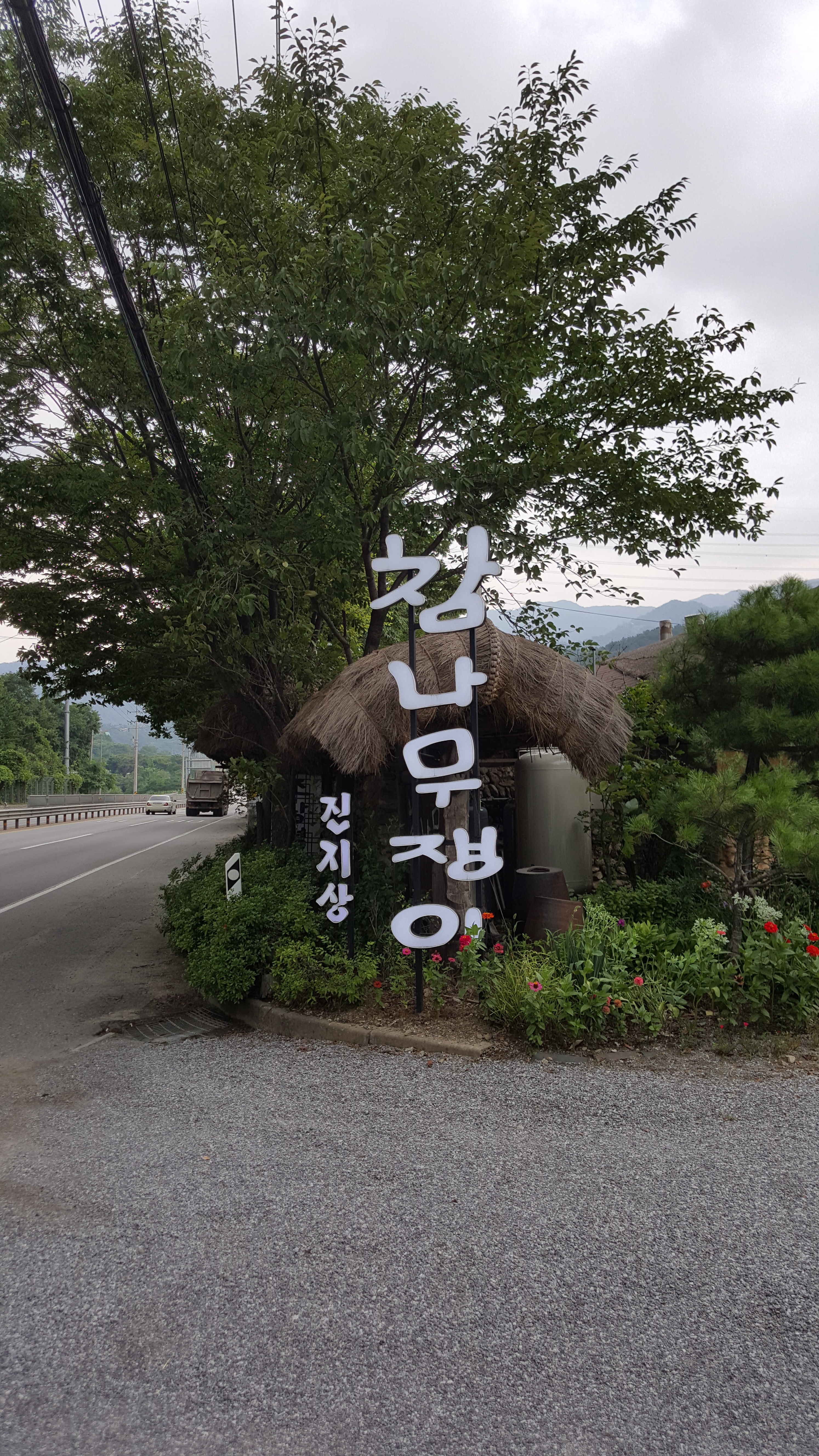 참나무쟁이