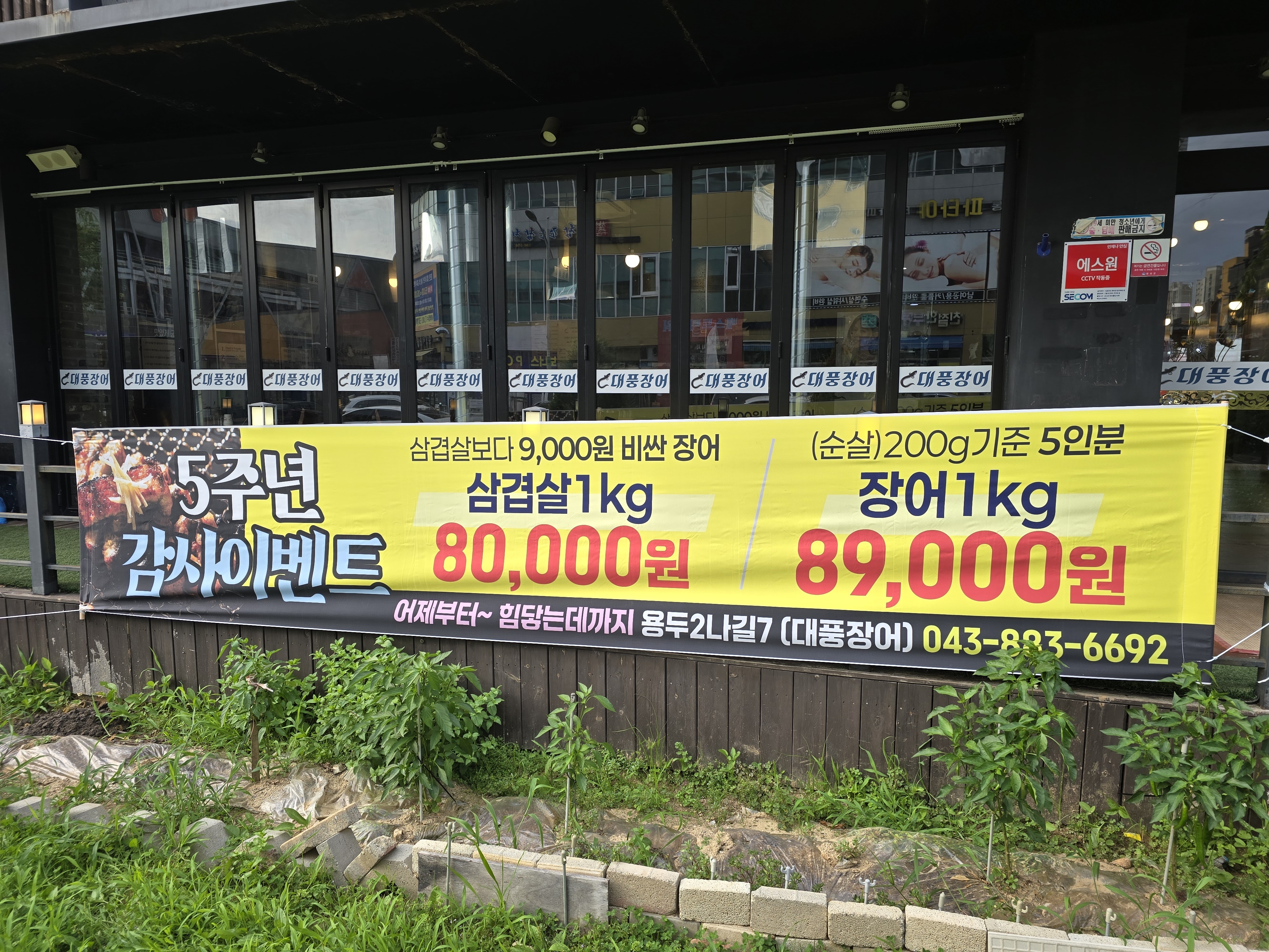 대풍장어