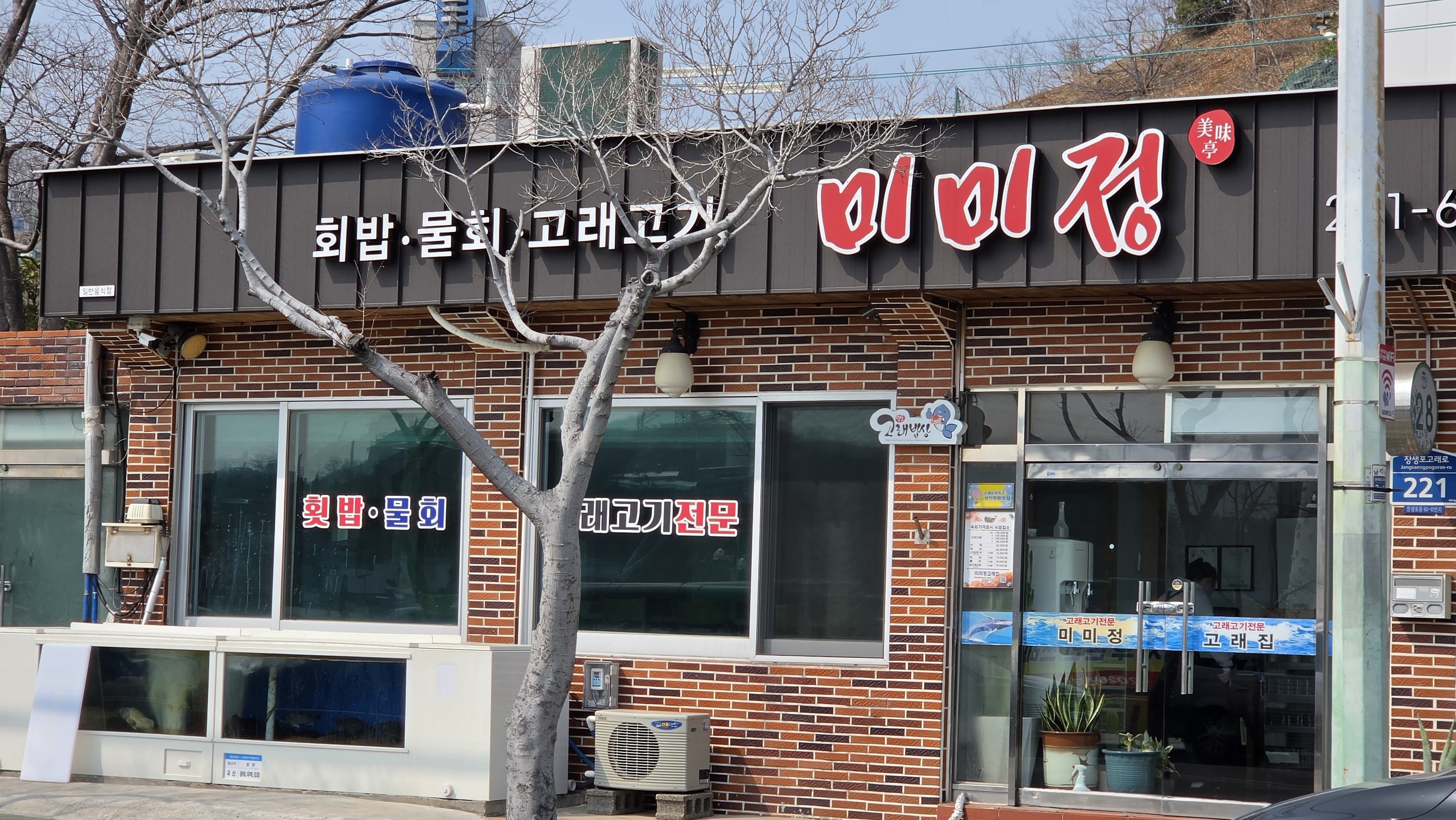 미미정횟집고래고기