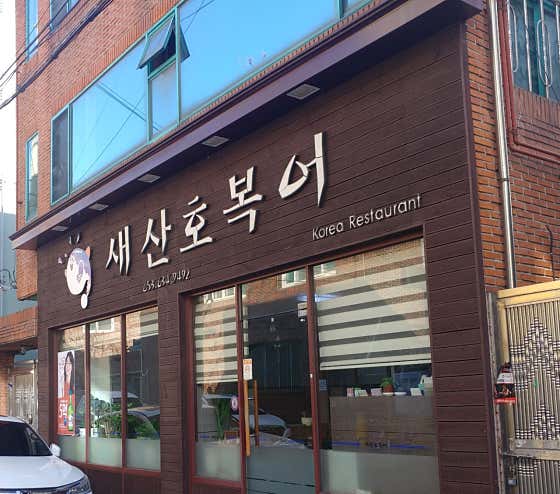 새산호복어