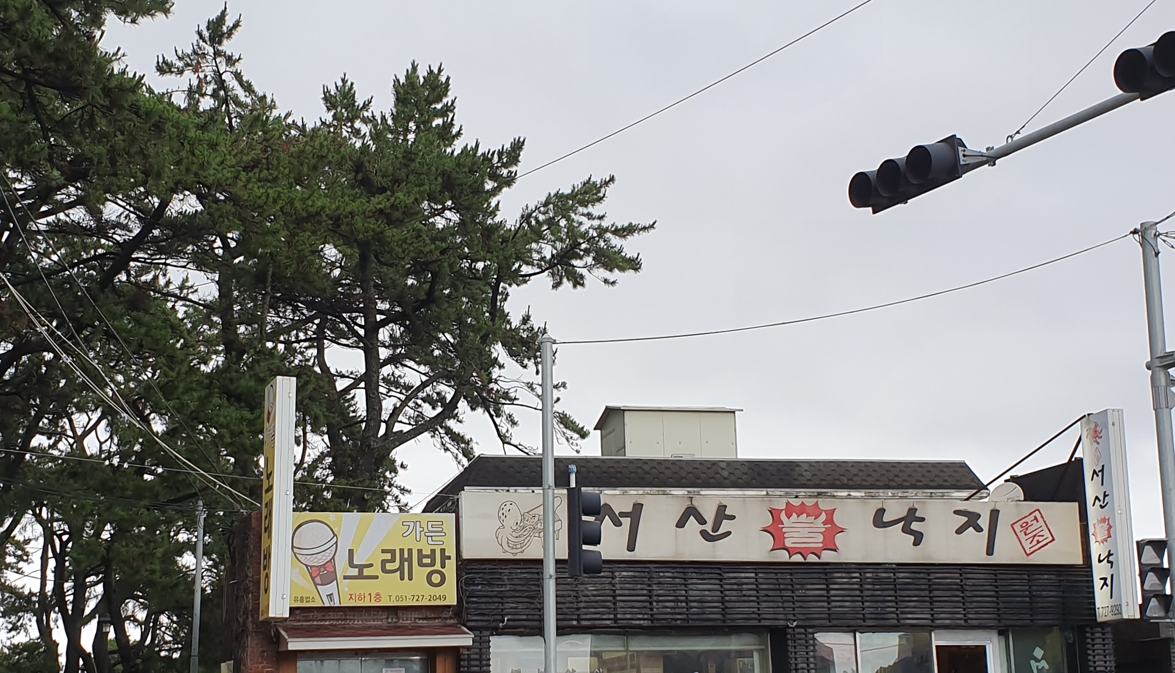 서산불낙지
