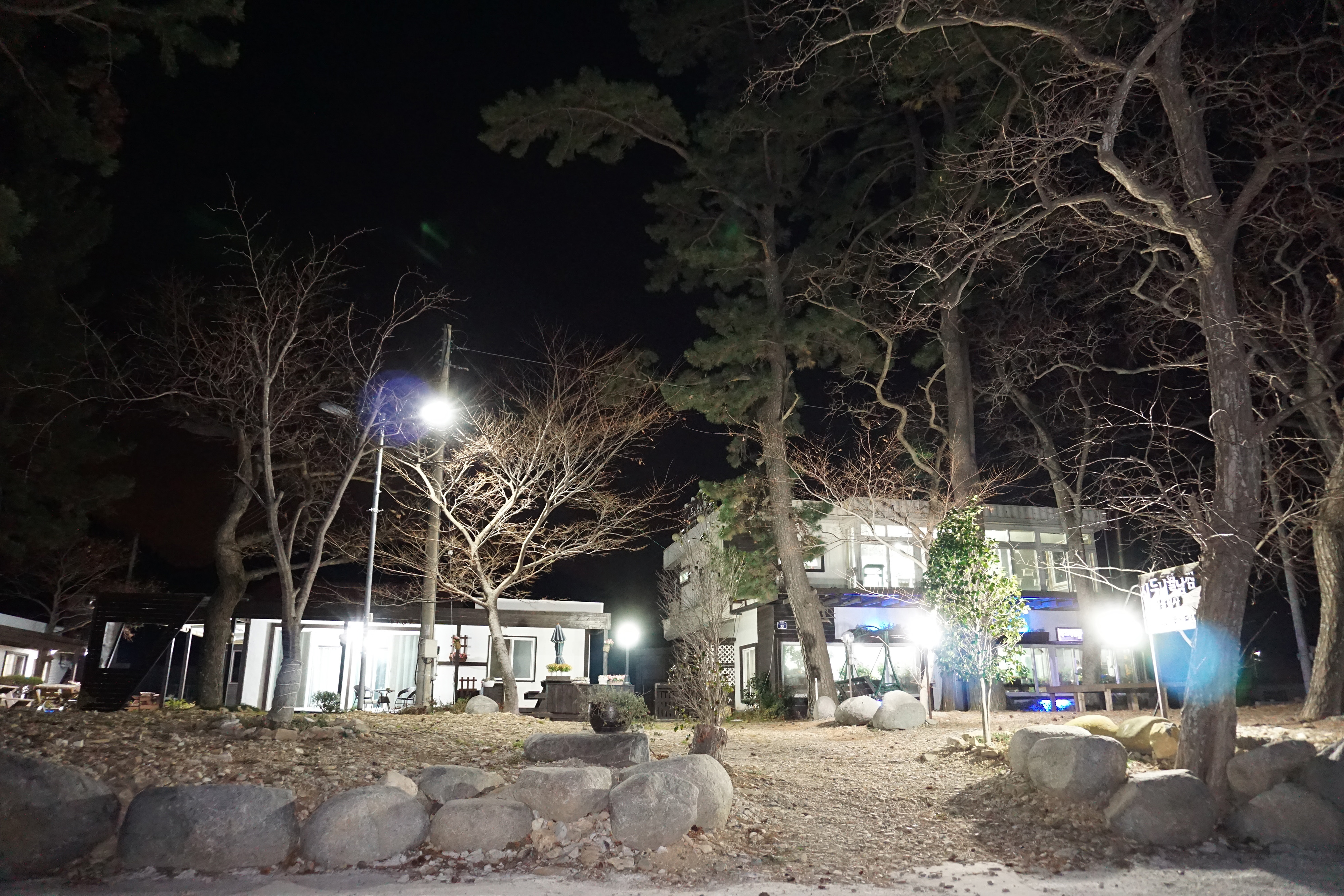 시드니월남쌈