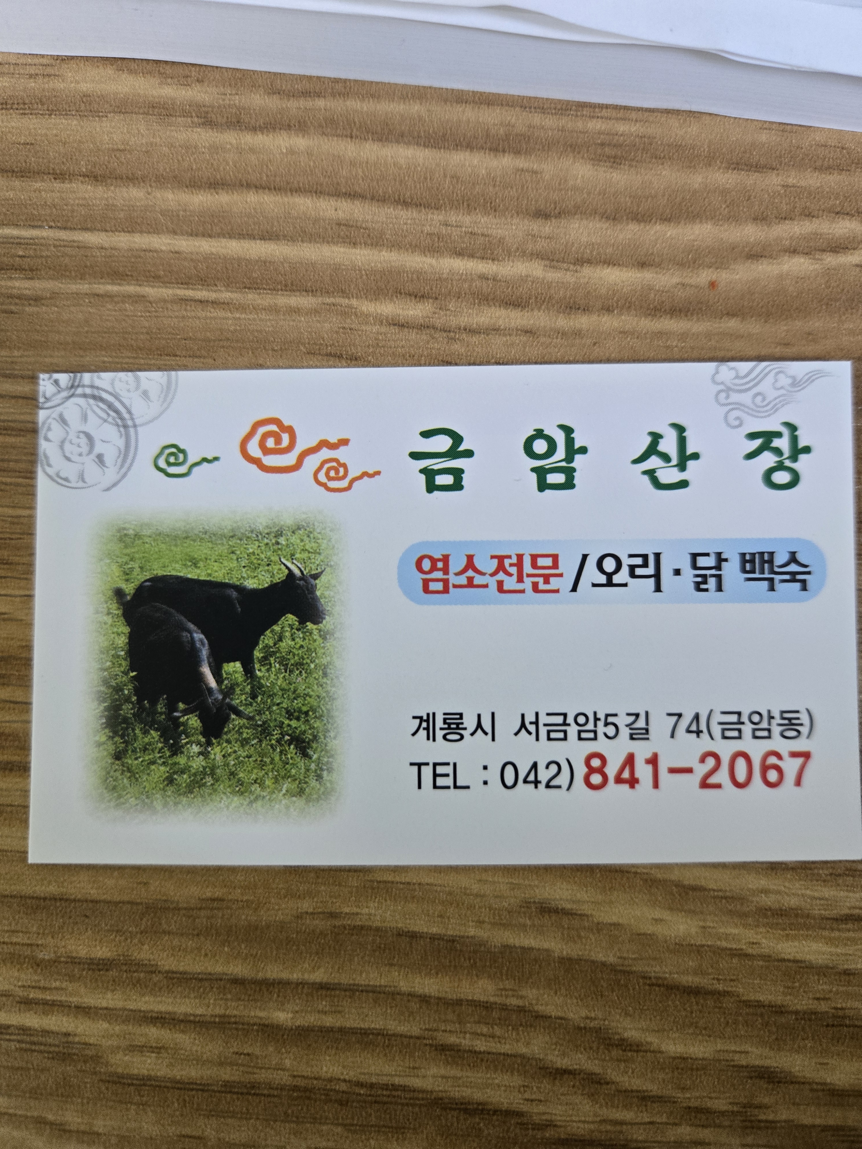 금암산장