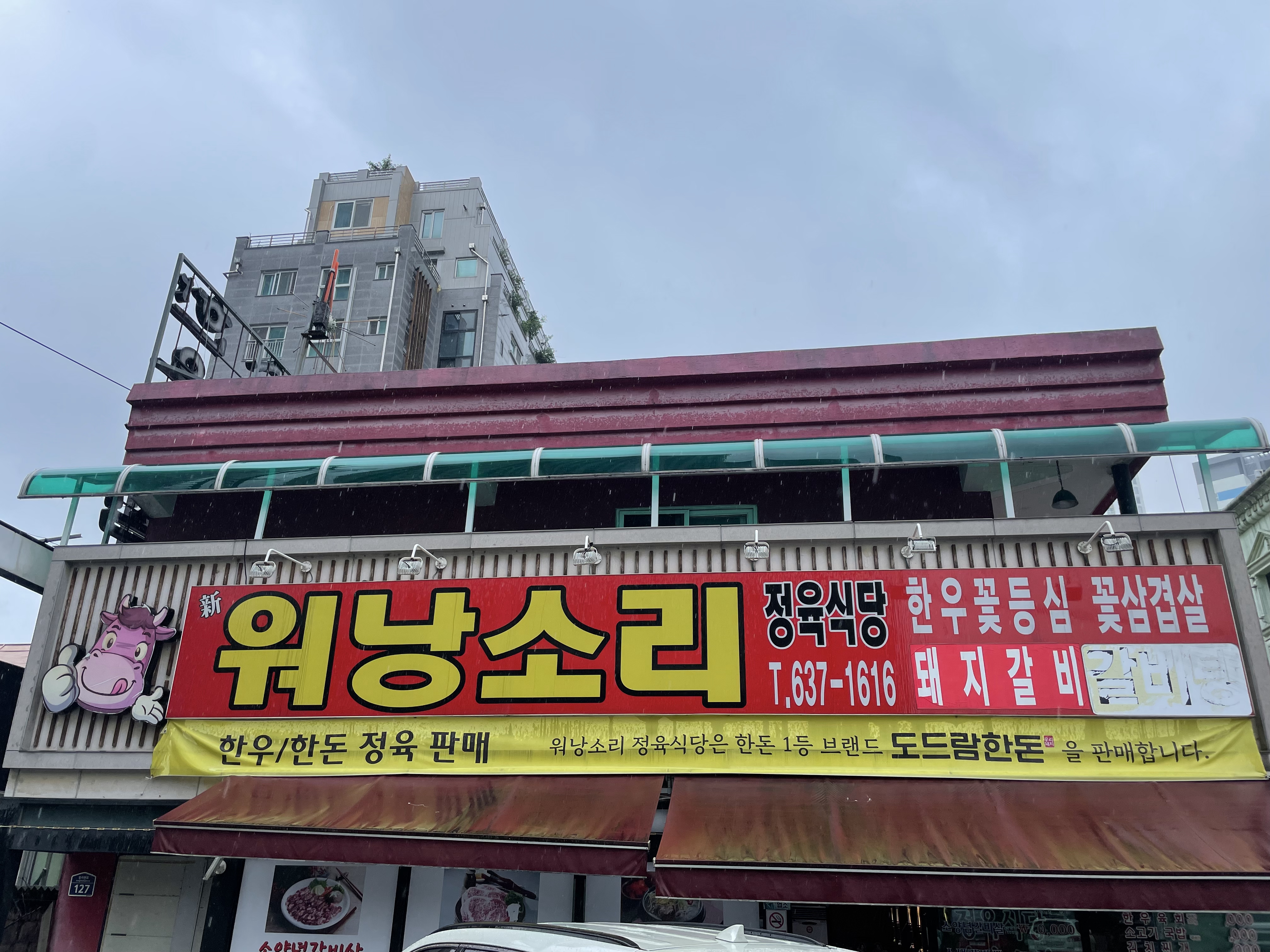 워낭소리
