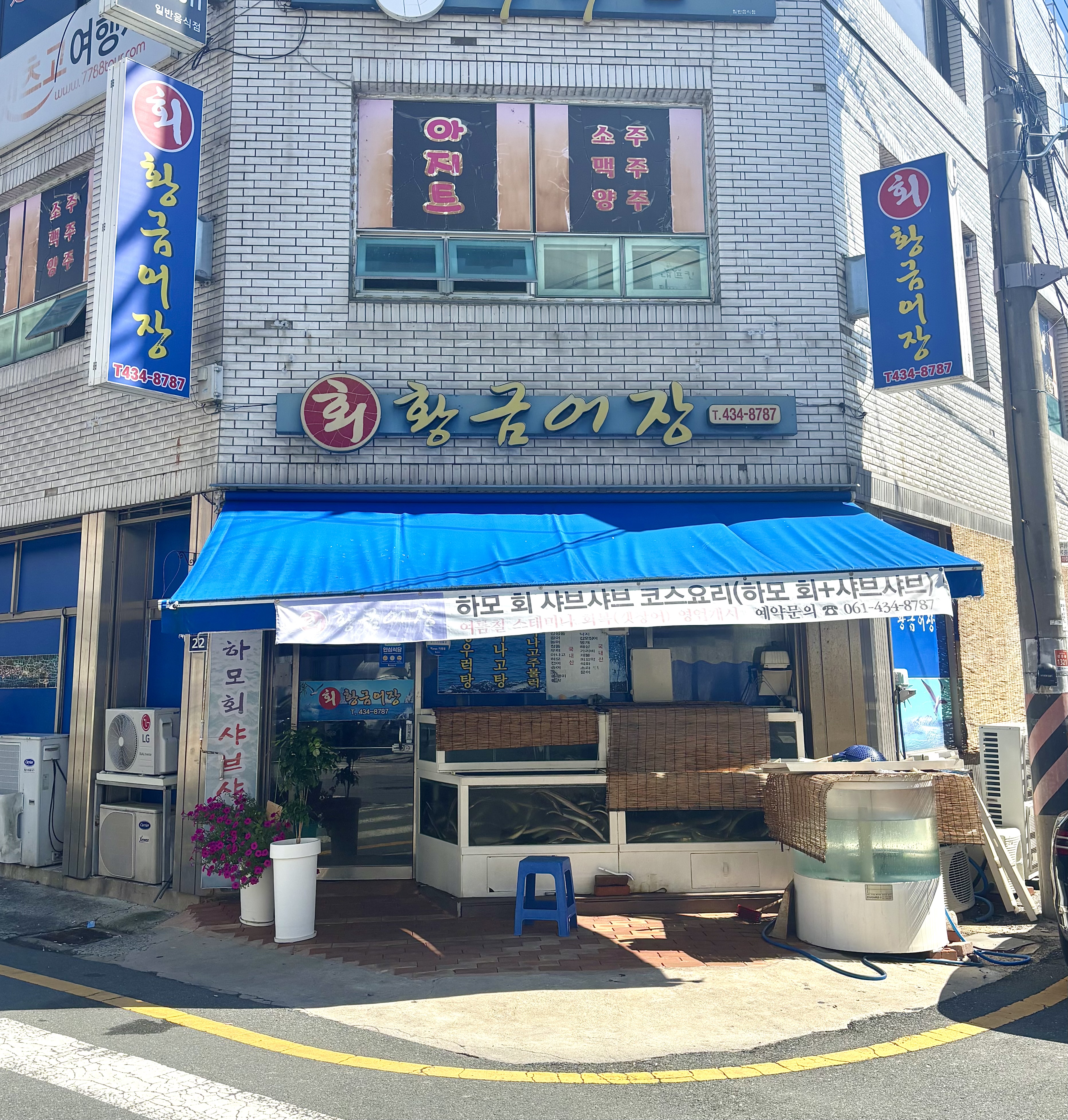 황금어장