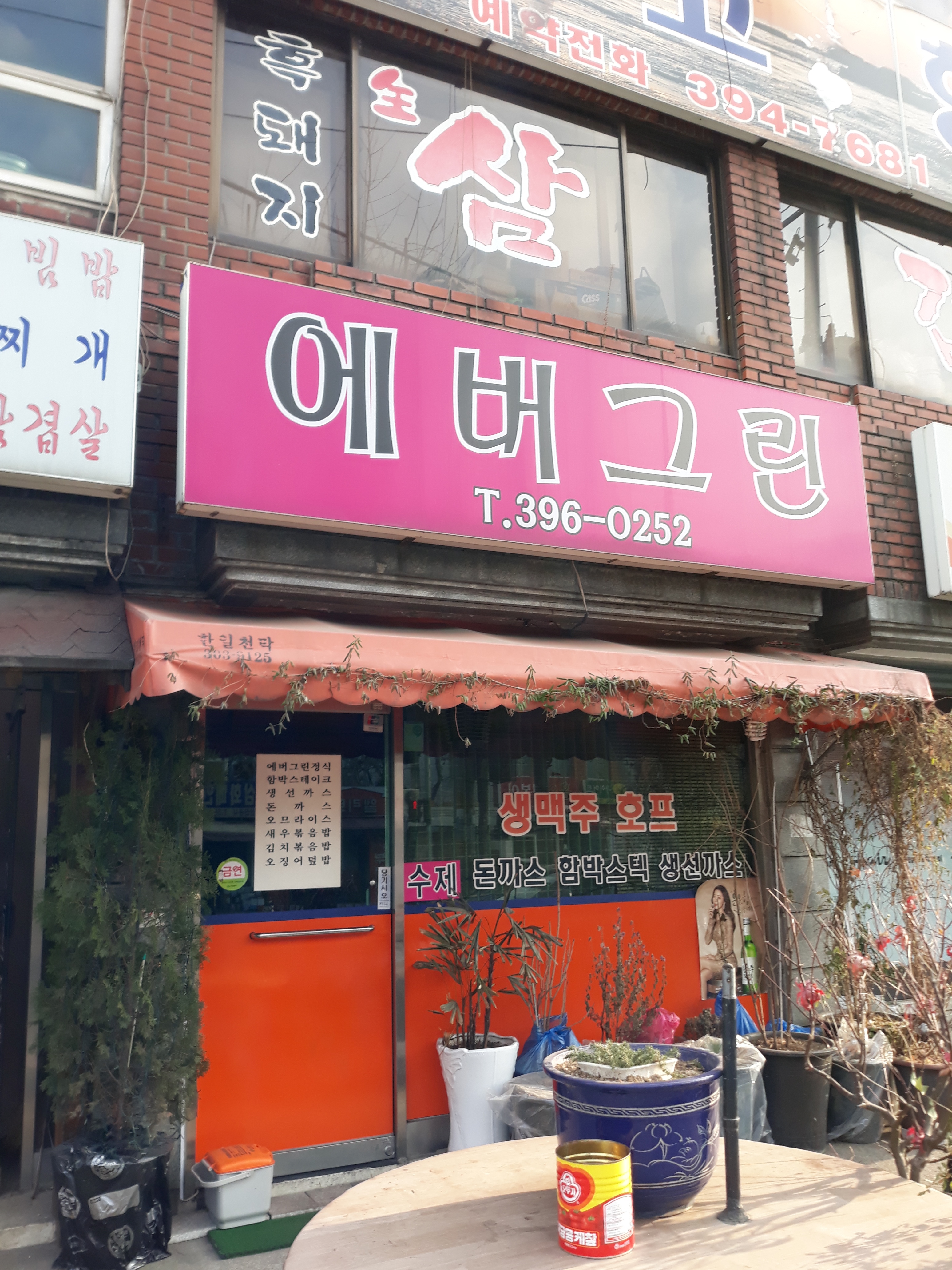 에버그린