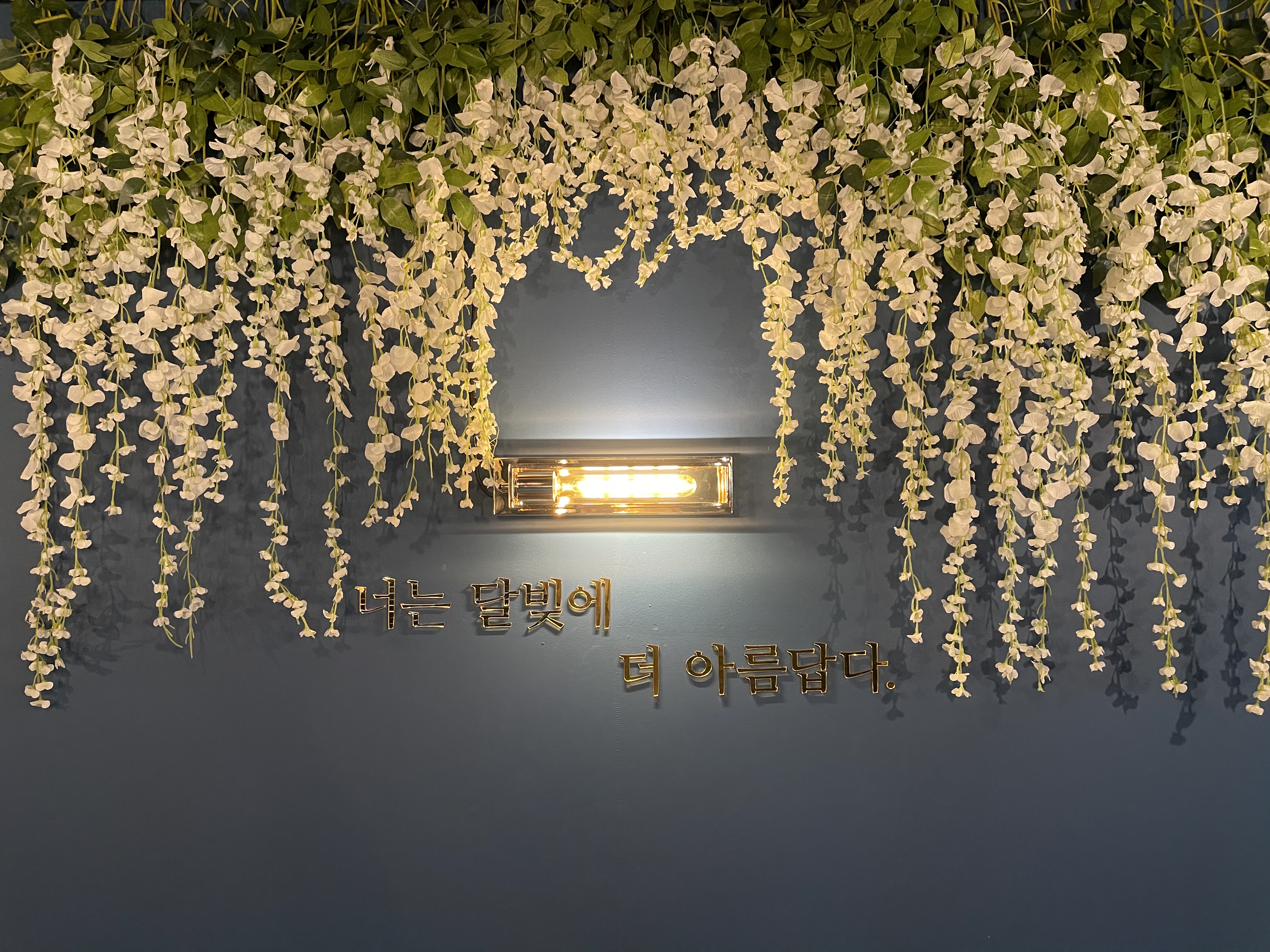 문릿