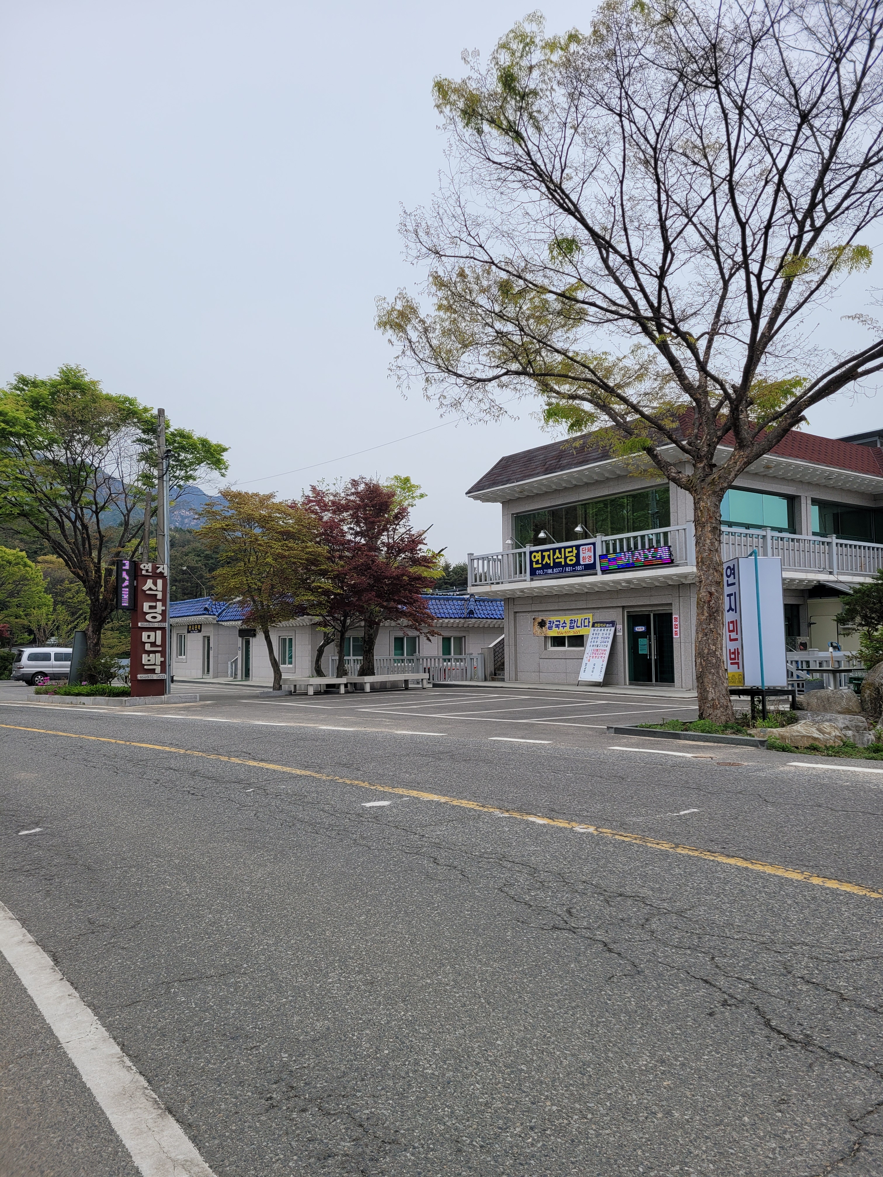연지식당