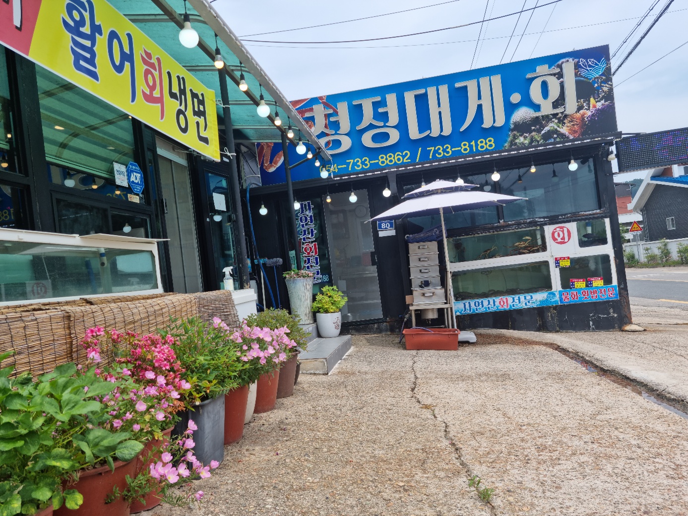 청정대게.회